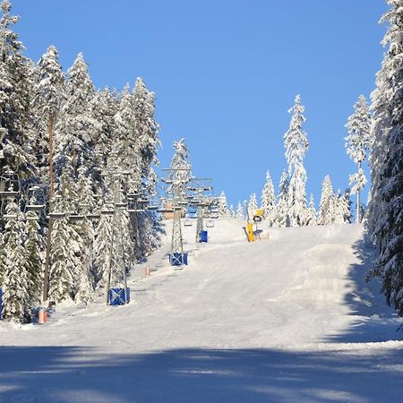 Apartmány Allis Lipno nad Vltavou Exterior foto
